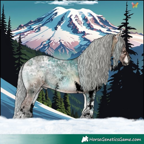 Horse Color:Void Silver Bay Ice Onyx Sabino 