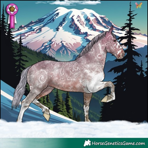 Horse Color:Silver Bay Ice Sabino 