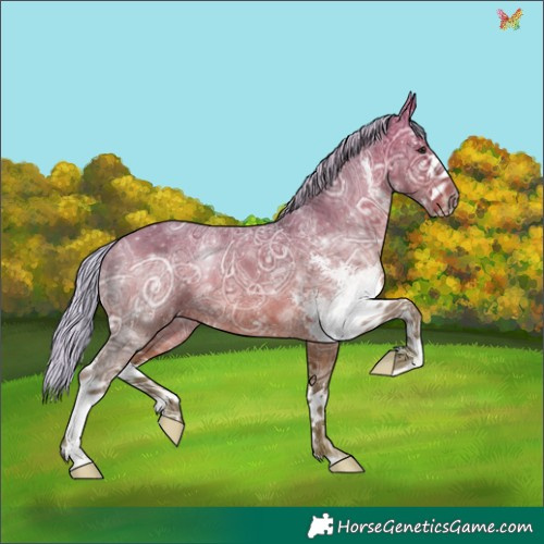 Horse Color:Silver Bay Ice Sabino 