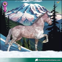 Horse Color:Silver Bay Ice Sabino