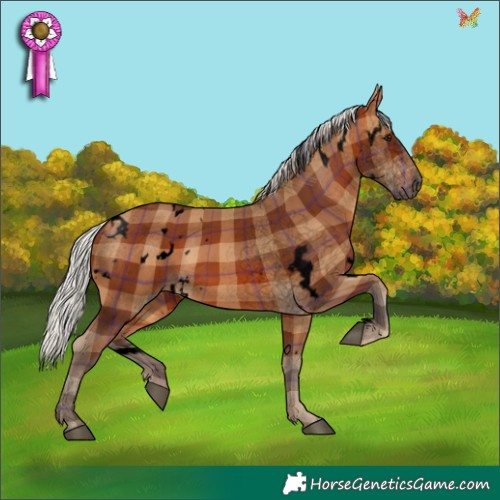 Horse Color:Void Plaid  White Spotted Silver Bay 