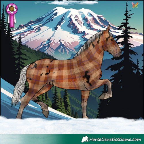 Horse Color:Void Plaid  White Spotted Silver Bay 