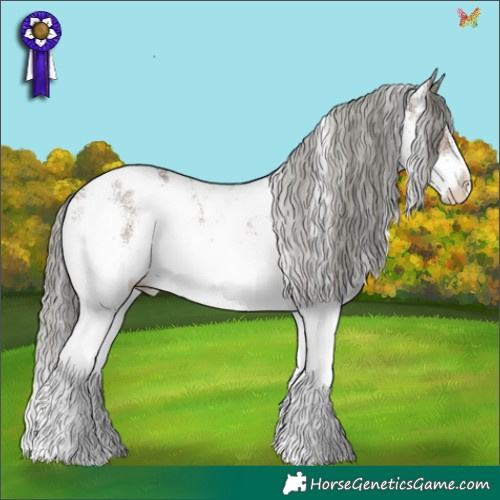 Horse Color:White Spotted Liver Red Dun Mushroom Appaloosa 