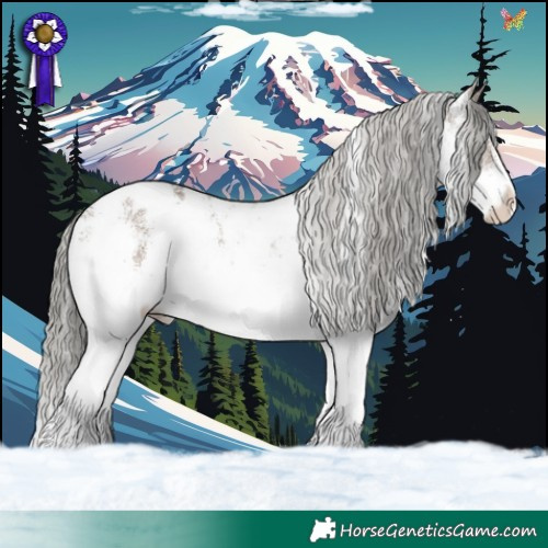 Horse Color:White Spotted Liver Red Dun Mushroom Near Leopard 