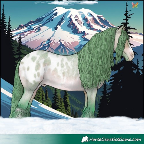 Horse Color:Watercolor Brown Roan Dun Appaloosa 