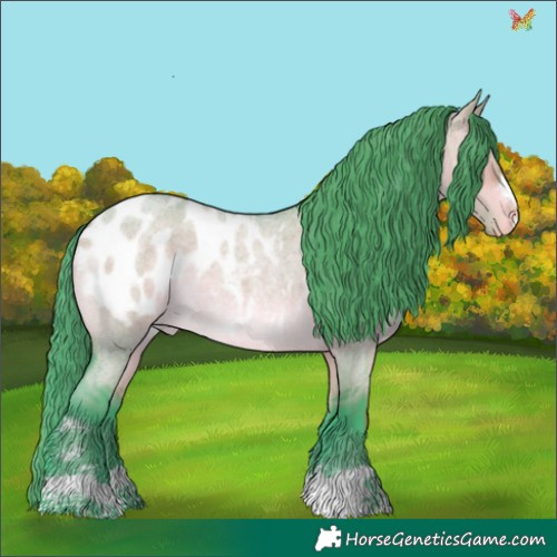 Horse Color:Watercolor Brown Roan Dun Appaloosa 