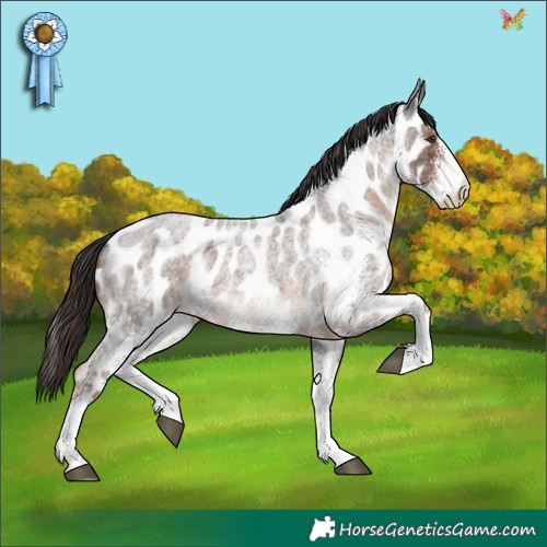 Horse Color:White Spotted Liver Red Roan Appaloosa 