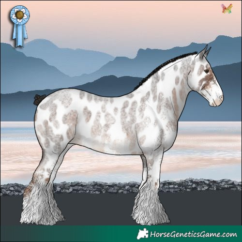 Horse Color:White Spotted Liver Red Roan Near Leopard 