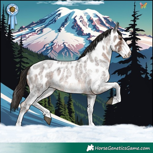 Horse Color:White Spotted Liver Red Roan Appaloosa 