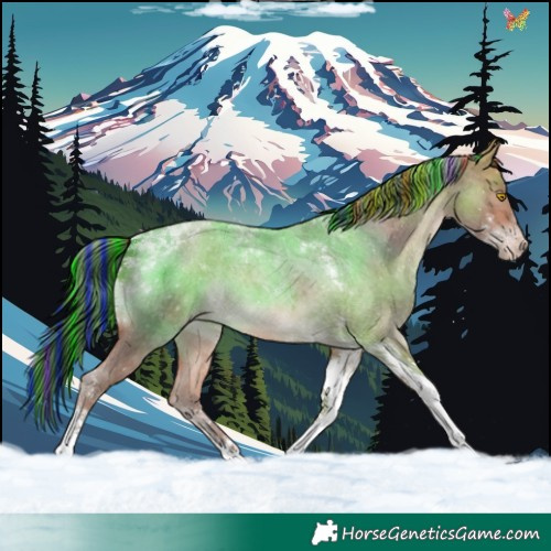 Horse Color:Painted Amber Champagne Roan Tobiano 