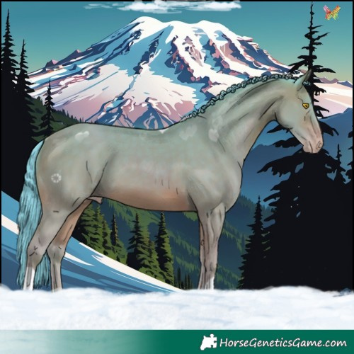 Horse Color:Watercolor Sable Champagne 