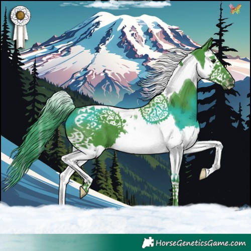 Horse Color:Watercolor Black Splash Tobiano 