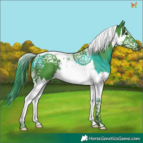 Horse Color:Watercolor Black Splash Tobiano 
