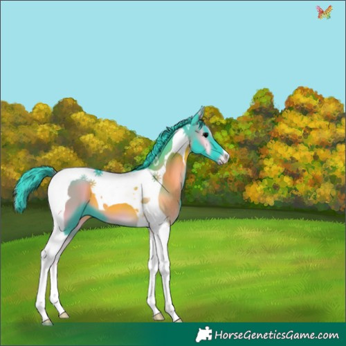 Horse Color:Watercolor Blue Onyx Tobiano 