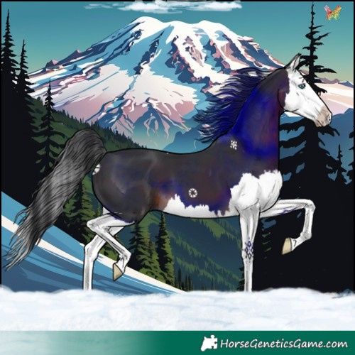 Horse Color:Brown Splash 