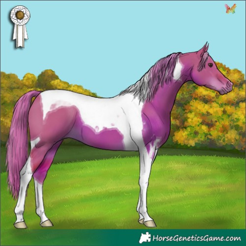 Horse Color:Watercolor Liver Red Dun Tobiano 