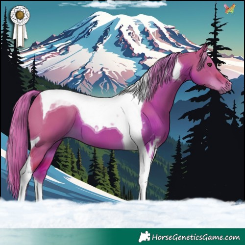 Horse Color:Watercolor Liver Red Dun Tobiano 