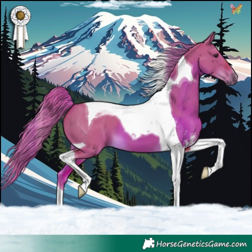 Horse Color:Watercolor Liver Red Dun Tobiano 