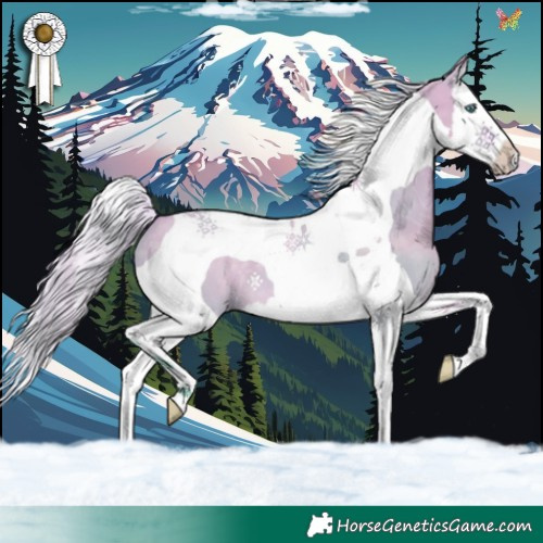 Horse Color:Watercolor Silver Brown Dun Splash Tobiano 