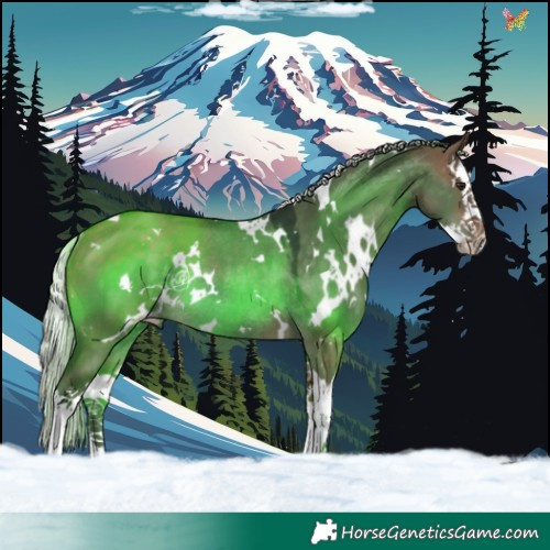 Horse Color:White Spotted Silver Brown Dun Splash Rabicano 
