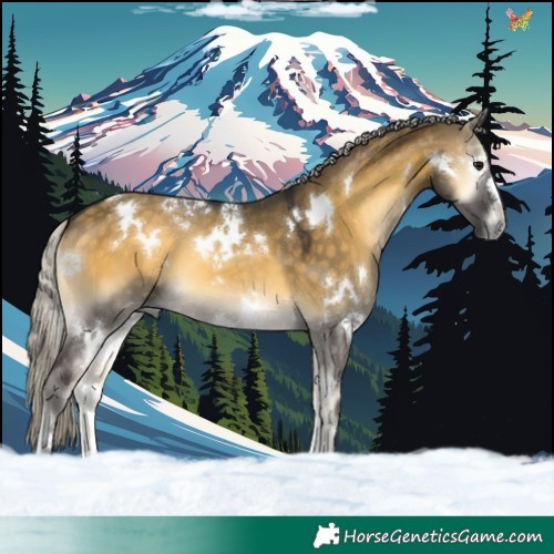 Horse Color:White Spotted Silver Buckskin Onyx 