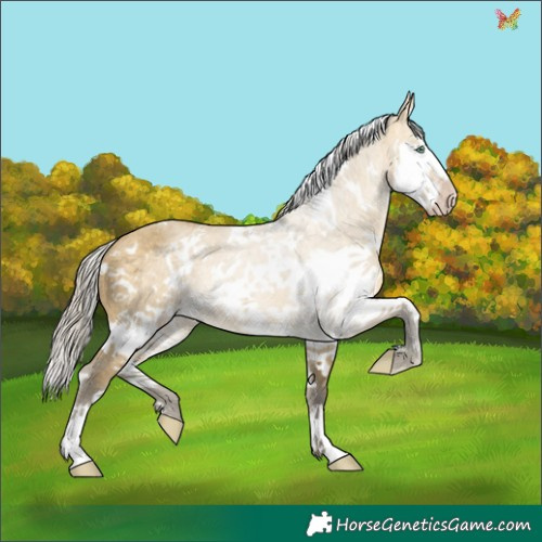 Horse Color:White Spotted Silver Sable Cream Champagne Ice Dun Mushroom Splash 