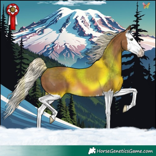 Horse Color:Chocolate Palomino Splash 