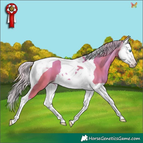 Horse Color:Gray Watercolor Gold Cream Champagne Splash Tobiano 