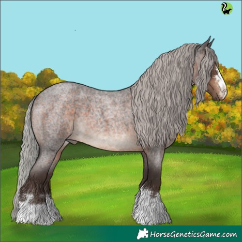 Horse Color:Silver Brown Roan 