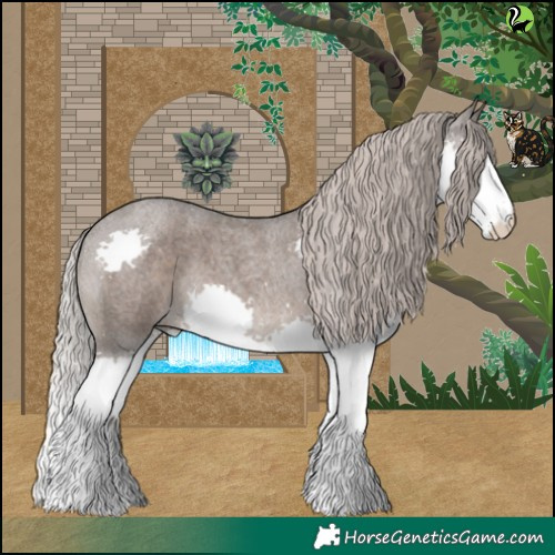 Horse Color:Silver Blue Roan Splash 