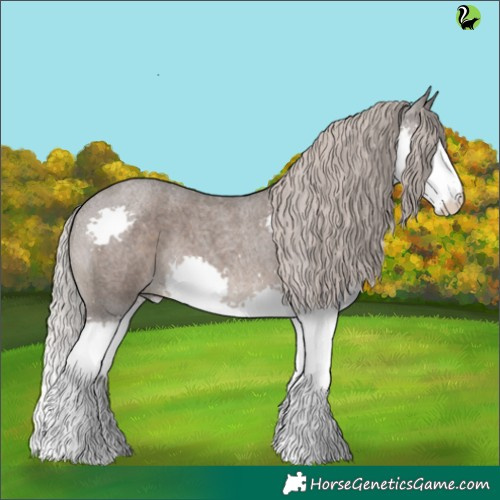 Horse Color:Silver Blue Roan Splash 