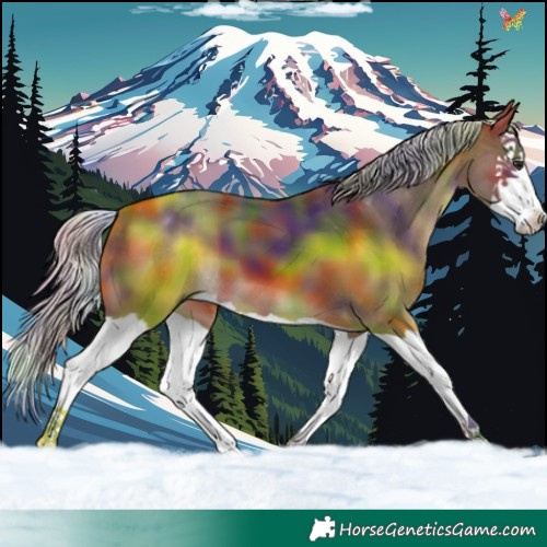 Horse Color:Nacre Silver Brown Splash 