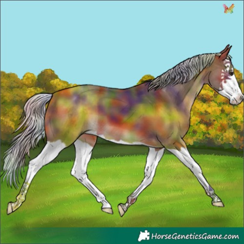 Horse Color:Nacre Silver Brown Splash 