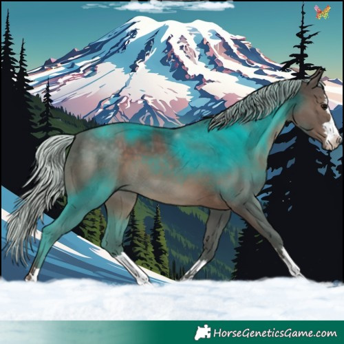 Horse Color:Silver Black 