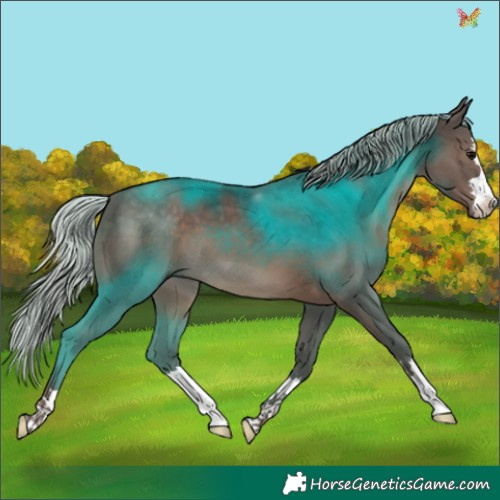 Horse Color:Silver Black