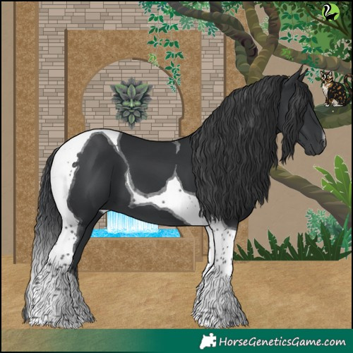 Horse Color:Black Tobiano 