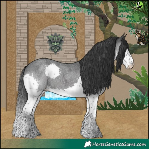 Horse Color:Blue Roan Splash 