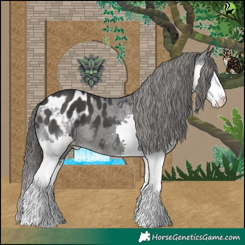 Horse Color:Black Splash Blanket 