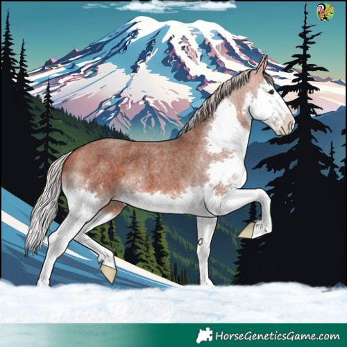 Horse Color:Silver Bay Roan Splash 