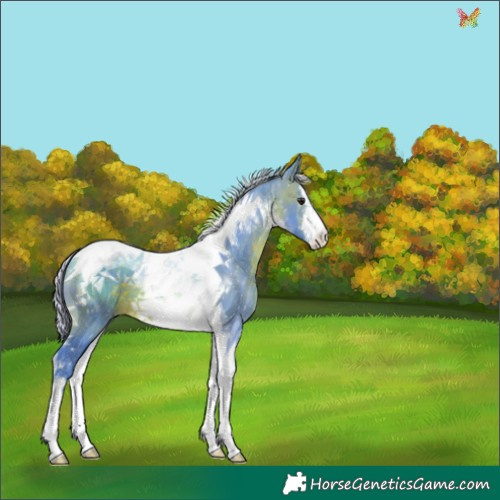 Horse Color:Watercolor White Spotted Silver Brown Tobiano 