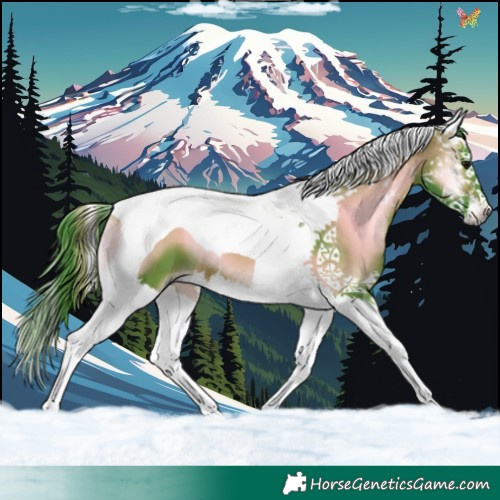 Horse Color:Watercolor Brown Onyx Splash Tobiano 