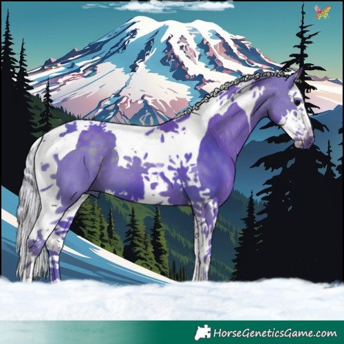 Horse Color:Watercolor Silver Black Splash Tobiano 