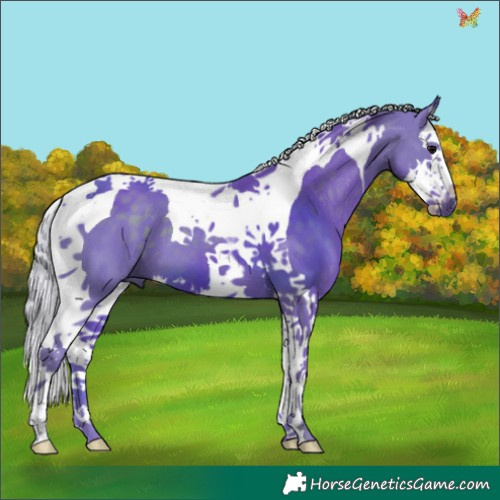 Horse Color:Watercolor Silver Black Splash Tobiano 