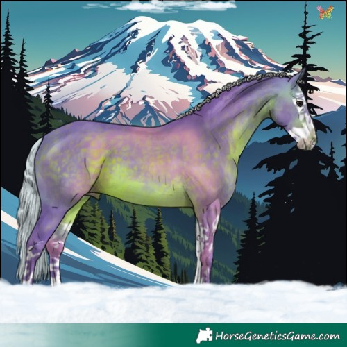 Horse Color:Watercolor Silver Brown Splash 