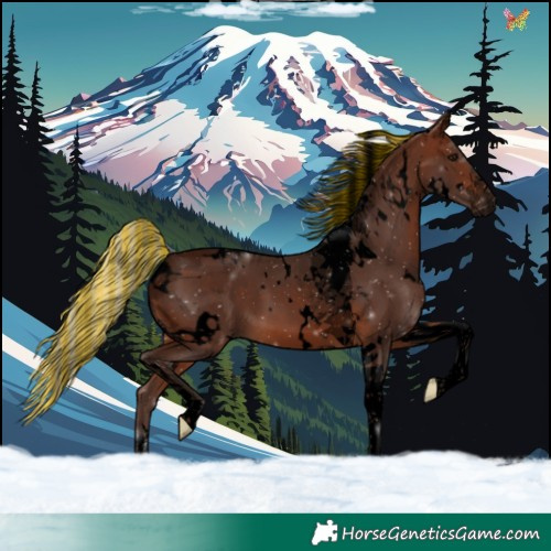 Horse Color:Void Painted White Spotted Silver Brown Tobiano 