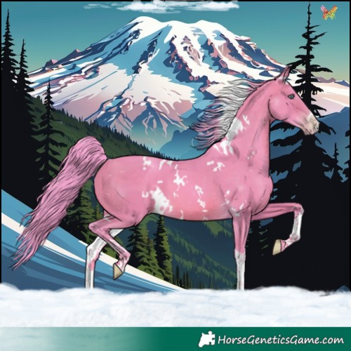 Horse Color:Watercolor White Spotted Sable Champagne 