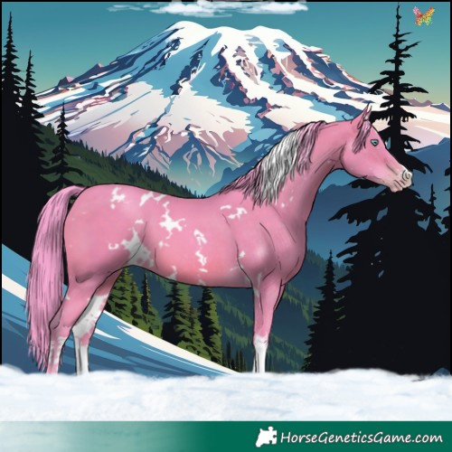 Horse Color:Watercolor White Spotted Sable Champagne 