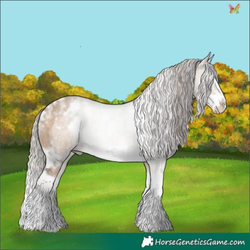 Horse Color:Powder White White Spotted Silver Brown Dun Splash Frame 