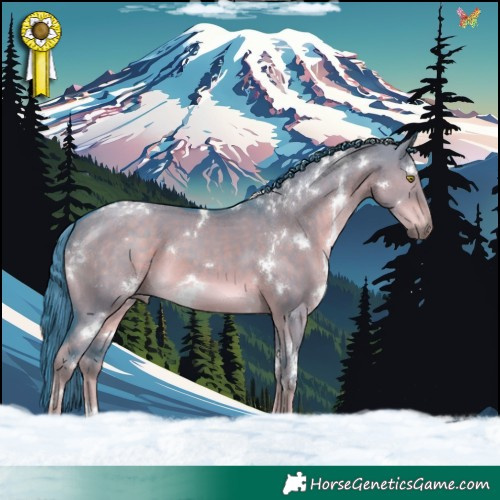 Horse Color:Watercolor White Spotted Liver Red Dun 