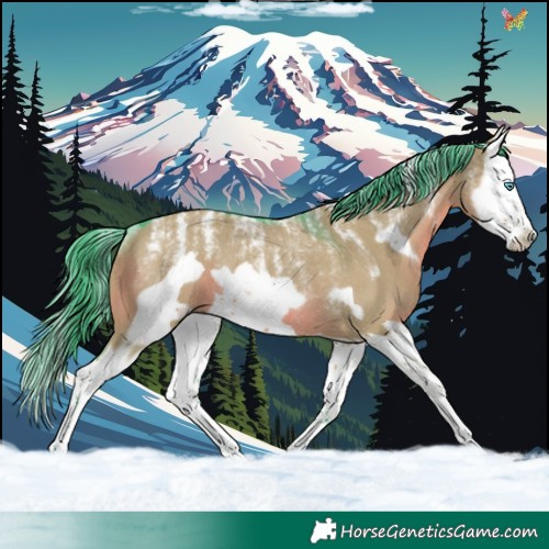 Horse Color:Powder White Watercolor Smoky Grullo Splash Frame Rabicano 